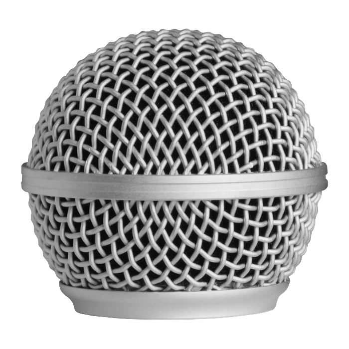 Mikrofon SM58 (Shure)